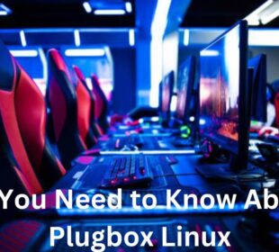 About Plugbox Linux